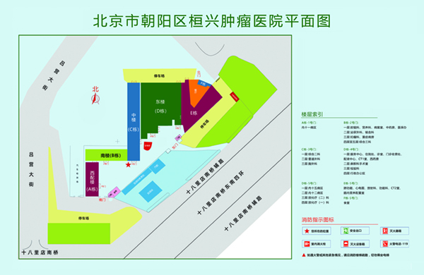 大鸡巴插逼免费观看北京市朝阳区桓兴肿瘤医院平面图